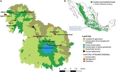 Organic Carbon Stocks of Mexican Montane Habitats: Variation Among Vegetation Types and Land-Use